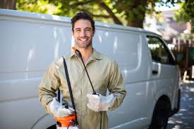 Best Fumigation Services  in Pine Hills, CA